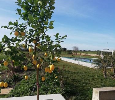 Rosolini House | Casa Sbrizza