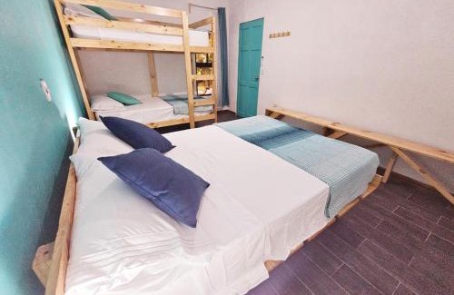 Tortuguero House | Casa Selvamar, un oasis en la selva