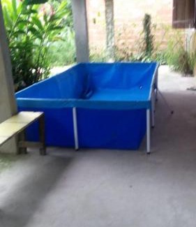 Paraty House | Casa térrea