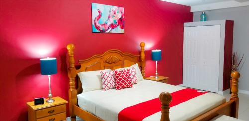 New Kingston Apartment | Casa Tamar Guest Apartment