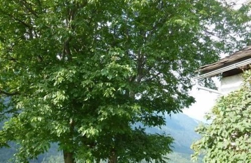 Bregaglia House | Casa Tavernela