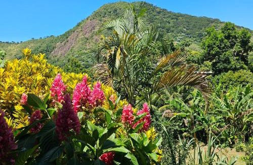 Barreira House | Casa tia Rosa, hospedagem familiar Guapimirim RJ