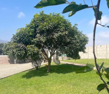 Santa Cruz de Flores House | Casa Tres Ventanas de Azpitia