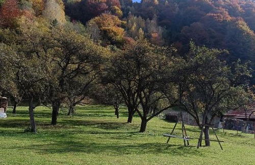 Moieciu de Jos House | Casa Tudor și Eva