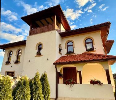 Horezu House | Casa Tudorescu