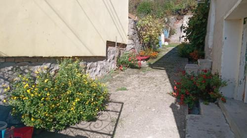 Svinita House | Casa Turcoaz