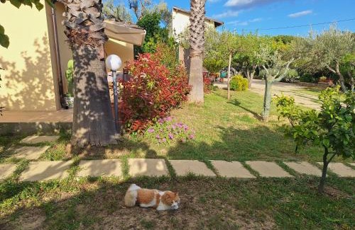 San Michele di Ganzaria House | Casa Vacanze La Cuntintizza