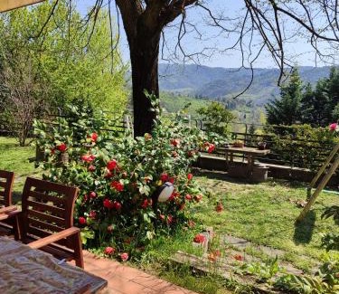 San Lorenzo in Collina House | Casa vacanze I tigli