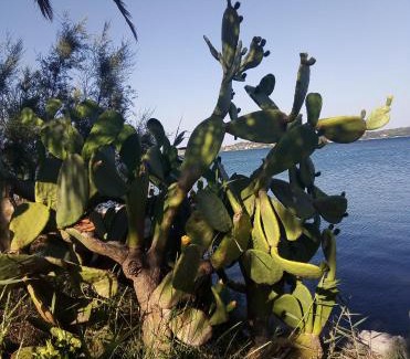 Talamone Apartment | Casa vacanze mare blu