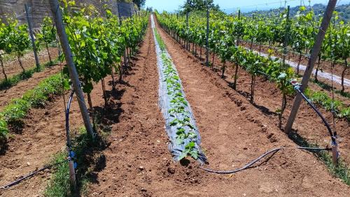 Ardore House | Casa vacanze San Gianni