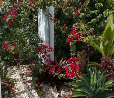 Jayuya Apartment | Casa Vagon Villa Janer