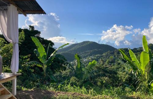 Jayuya Apartment | Casa Vagon Villa Janer