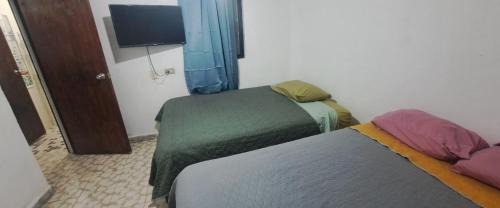 Cedral House | Casa Vergel