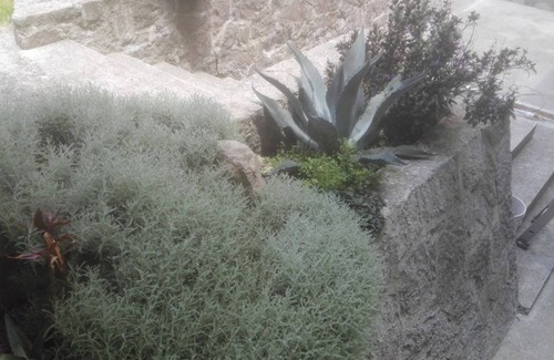 Toluca City-Centre Villa | Casa Villaliz