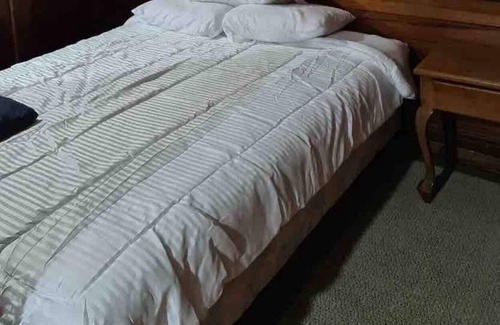 San Jose House | Casa Zindler - Cozy Studio. Great Location!