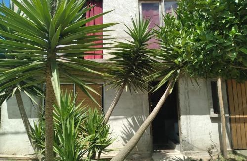 Balneario Buenos Aires Apartment | Casas de passed