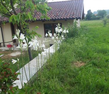 Mombasiglio Bed & Breakfast | Cascina Nuova