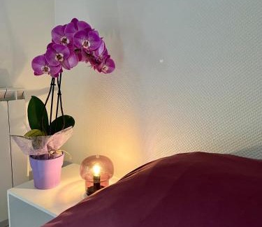 Jouvence Apartment | Cassis - Studio terrasse - Centre Dijon BSB Jouvence