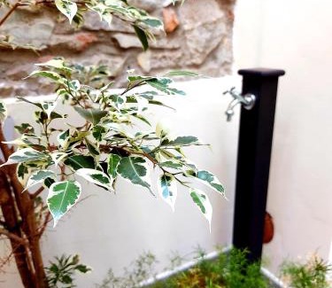 Prato Apartment | Castle Rooms