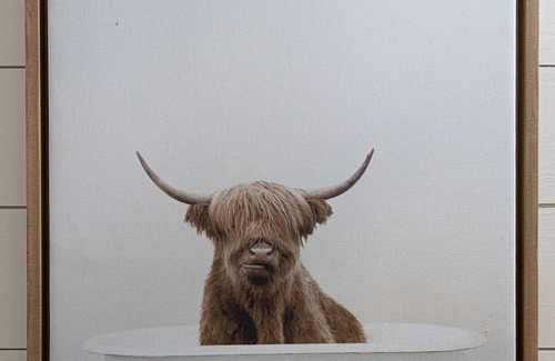 Driftwood Cabin | Cedar Break - Cabin O