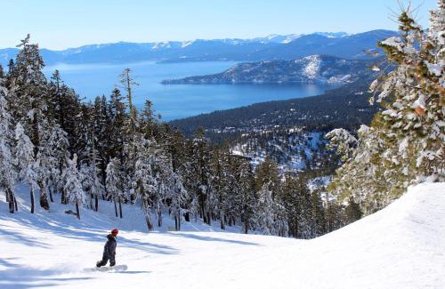 Incline Village Apartment | Cedars West