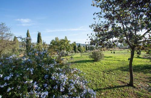 Orbetello House | Celestina- Agriturismo La Valentina