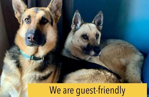 Ekurhuleni Apartment | Celtis Lane Guest House