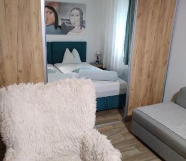 Novi Sad Apartment | Centar Novi Sad-Apartman No 1 PARKING ON REQUEST