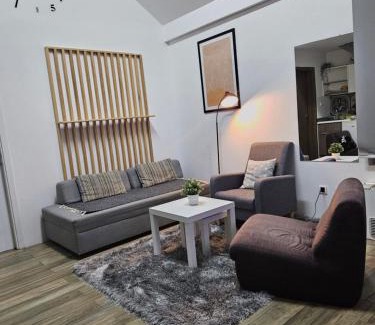 Novi Sad Apartment | Centar Novi Sad-Apartman No 3 PARKING ON REQUEST