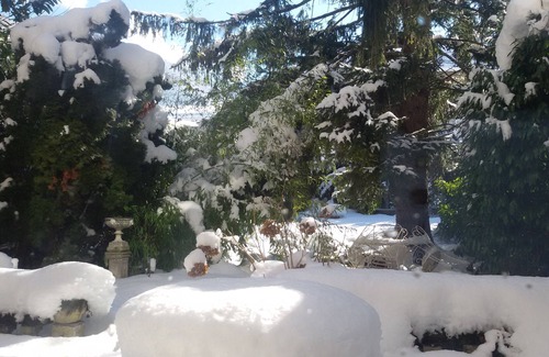 Bagneres-de-Luchon Apartment | Center of Bagnères de Luchon, gd T2/3 (65m²) of independent character, with garden.