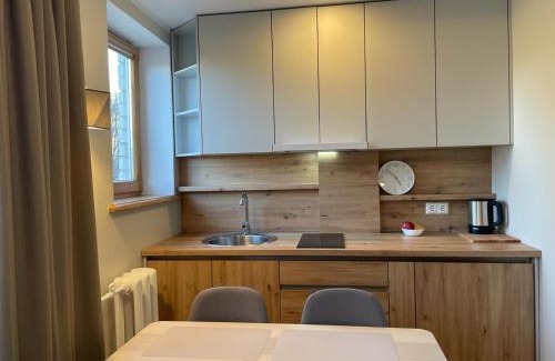 Jelgava Apartment | Centra dzīvoklis