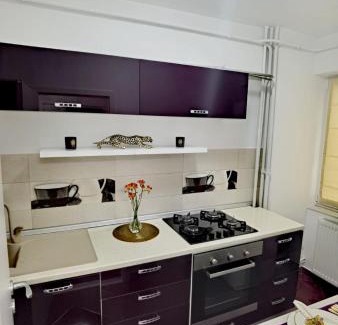 Iasi Apartment | Central Apartament