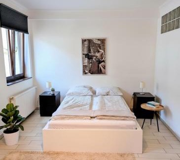 Palace District Apartment | Central Astoria Spacious Apartment