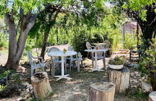 Prince Albert House | Central Stay with Local Hosts & Genuine Vibes