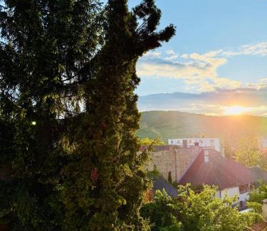 Odorheiu Secuiesc Apartment | CENTRUM LOFT apartman