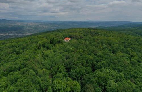 Izvoranu Hotel | Cetatuia