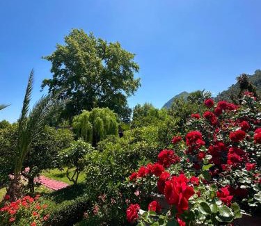 Cirali Bed & Breakfast | Ceylan Bungalow
