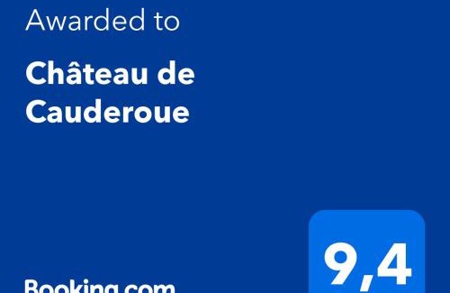 Nerac Bed & Breakfast | Château de Cauderoue