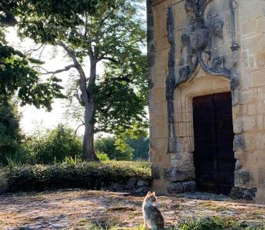 Monsac Bed & Breakfast | Château de Monsac