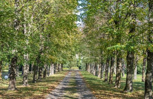Cerzat Villa | Château du Chambon