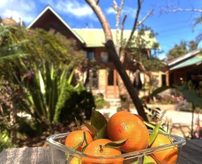 Don Duong House | Chú Ba Farmstay - cách Đà Lạt 40km