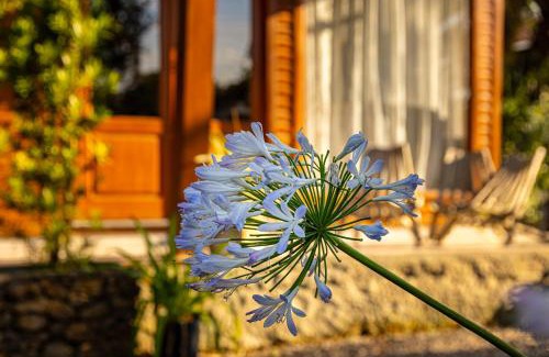 Canela House | CHALÉ DOS ALPES VERDES