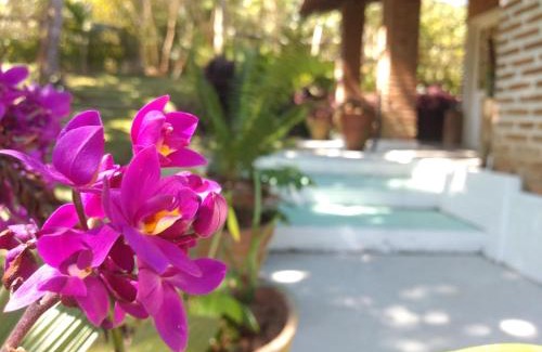 Northeast Region Ski Chalet | Chalés Guaíras