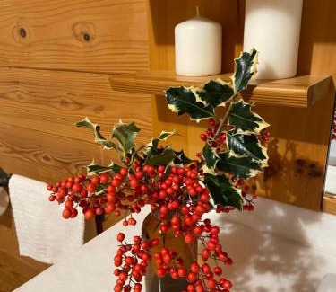 Crevalcore Ski Chalet | CHALET B&B LAGHETTI MARTINA