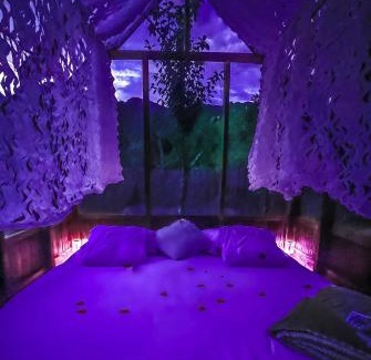 Lantosque Other | Chalet en verre sous une pluie étoilée