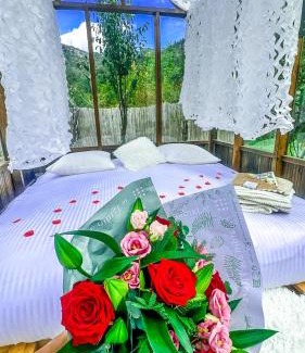 Lantosque Other | Chalet en verre sous une pluie étoilée