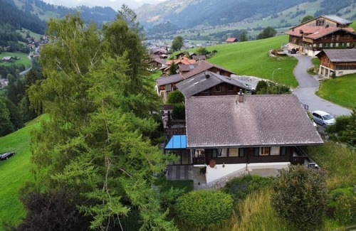 Zweisimmen Ski Chalet | Chalet Finkenwiese - up to 8 adults and 5 kids