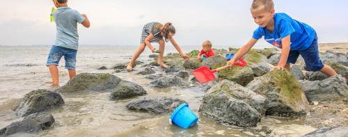 Baarland Ski Chalet | Chalet op vakantiepark in Baarland