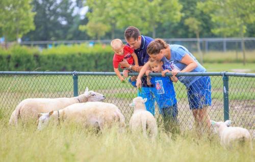 Baarland Ski Chalet | Chalet op vakantiepark in Baarland