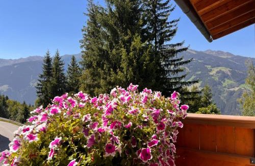 Rohrberg Apartment | Chalet Platzhirsch Zillertal Arena
